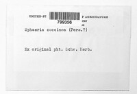 Neonectria coccinea image